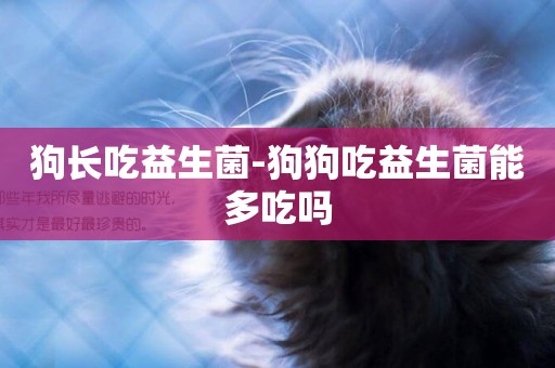 狗長吃益生菌-狗狗吃益生菌能多吃嗎