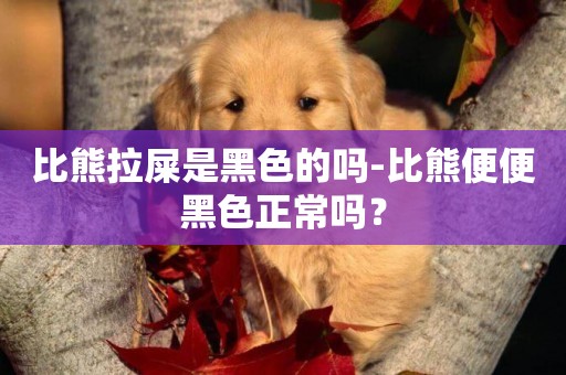 比熊拉屎是黑色的嗎-比熊便便黑色正常嗎？