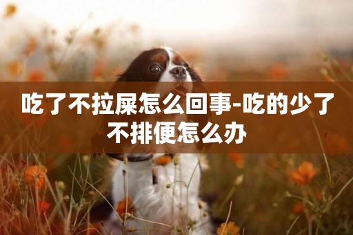 吃了不拉屎怎么回事-吃的少了不排便怎么辦
