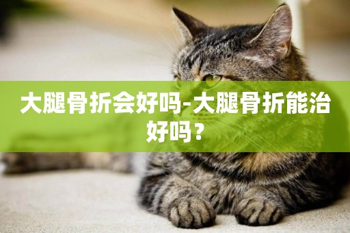 大腿骨折會好嗎-大腿骨折能治好嗎？