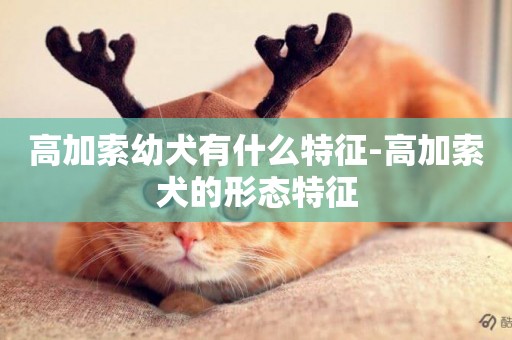高加索幼犬有什么特征-高加索犬的形態特征
