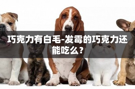 巧克力有白毛-發霉的巧克力還能吃么？