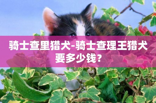 騎士查里獵犬-騎士查理王獵犬要多少錢？