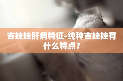 吉娃娃肝病特征-純種吉娃娃有什么特點？