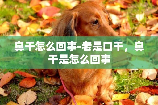 鼻干怎么回事-老是口干，鼻干是怎么回事