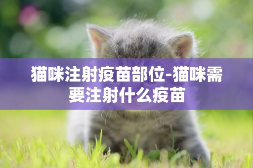貓咪注射疫苗部位-貓咪需要注射什么疫苗