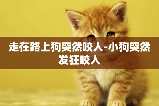 走在路上狗突然咬人-小狗突然發狂咬人