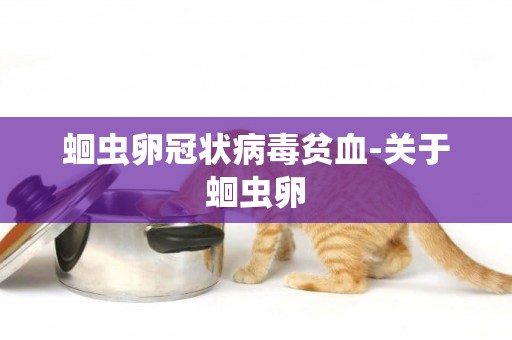 蛔蟲卵冠狀病毒貧血-關于蛔蟲卵