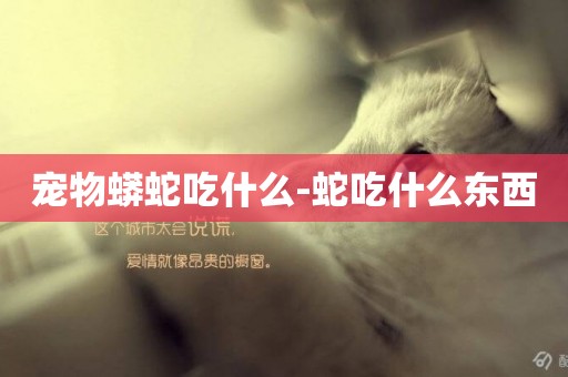 寵物蟒蛇吃什么-蛇吃什么東西