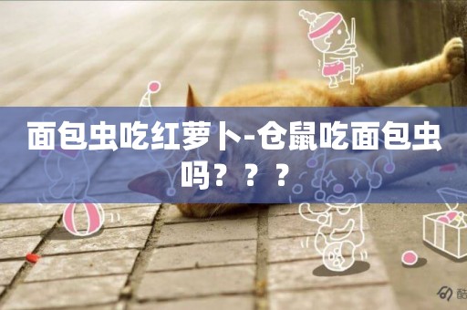 面包蟲吃紅蘿卜-倉鼠吃面包蟲嗎？？？