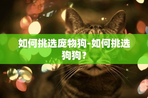 如何挑選龐物狗-如何挑選狗狗？