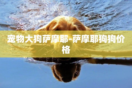 寵物大狗薩摩耶-薩摩耶狗狗價格