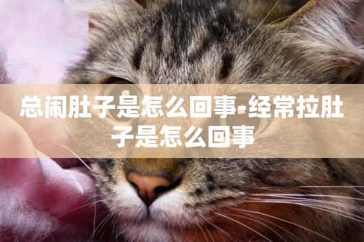 總鬧肚子是怎么回事-經常拉肚子是怎么回事