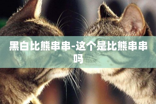 黑白比熊串串-這個是比熊串串嗎