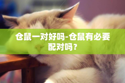 倉鼠一對好嗎-倉鼠有必要配對嗎？