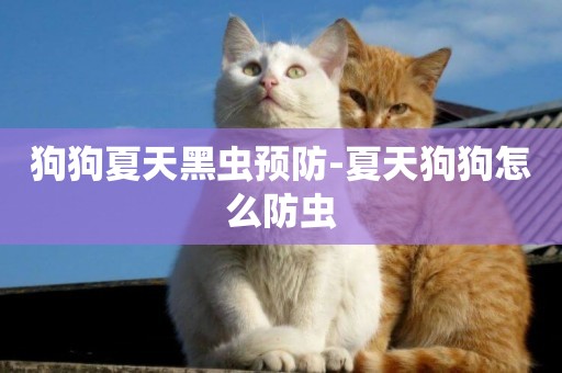 狗狗夏天黑蟲預防-夏天狗狗怎么防蟲