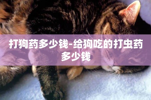 打狗藥多少錢-給狗吃的打蟲藥多少錢