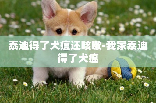泰迪得了犬瘟還咳嗽-我家泰迪得了犬瘟