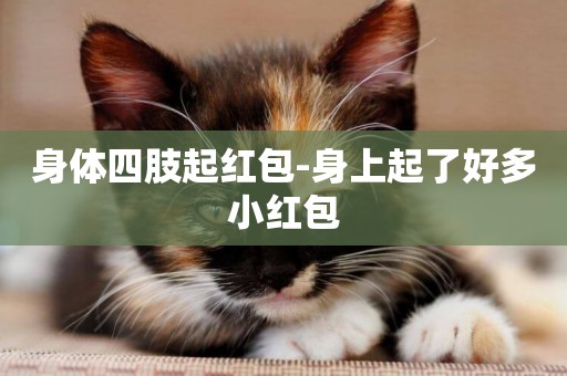身體四肢起紅包-身上起了好多小紅包