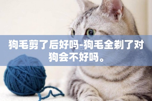狗毛剪了后好嗎-狗毛全剃了對狗會不好嗎。