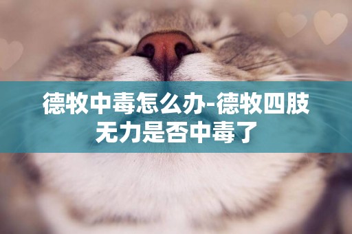 德牧中毒怎么辦-德牧四肢無力是否中毒了