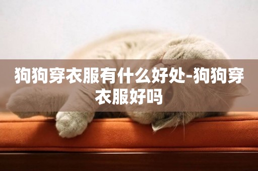 狗狗穿衣服有什么好處-狗狗穿衣服好嗎