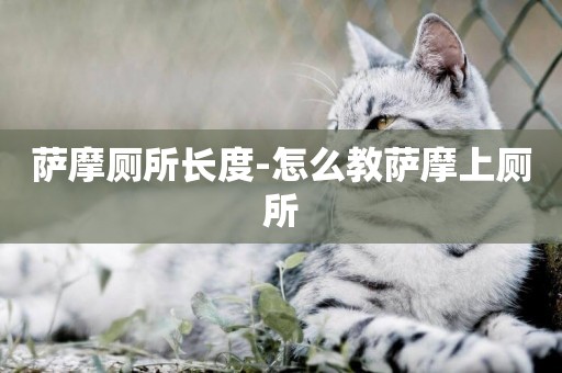薩摩廁所長度-怎么教薩摩上廁所