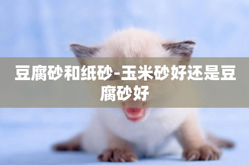 豆腐砂和紙砂-玉米砂好還是豆腐砂好