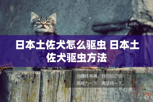 日本土佐犬怎么驅蟲 日本土佐犬驅蟲方法