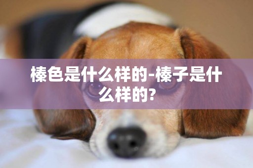 榛色是什么樣的-榛子是什么樣的?