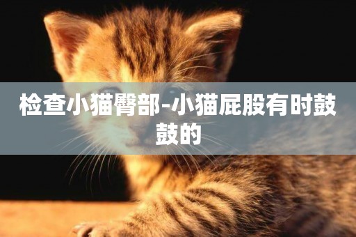 檢查小貓臀部-小貓屁股有時鼓鼓的