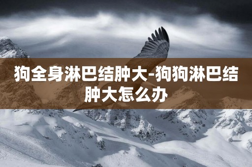 狗全身淋巴結腫大-狗狗淋巴結腫大怎么辦