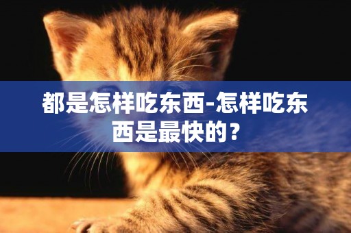 都是怎樣吃東西-怎樣吃東西是最快的？