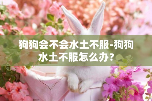 狗狗會不會水土不服-狗狗水土不服怎么辦？