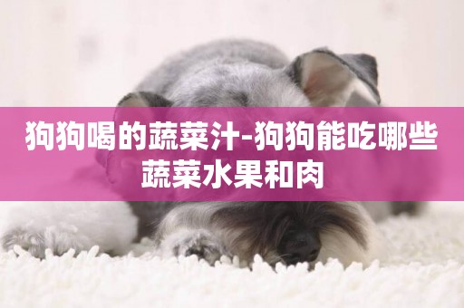 狗狗喝的蔬菜汁-狗狗能吃哪些蔬菜水果和肉