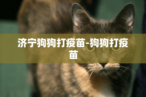 濟寧狗狗打疫苗-狗狗打疫苗