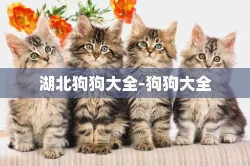 湖北狗狗大全-狗狗大全