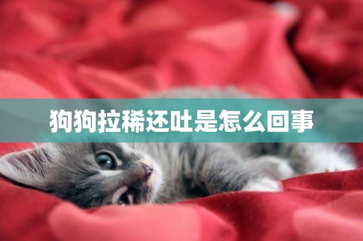 狗狗拉稀還吐是怎么回事