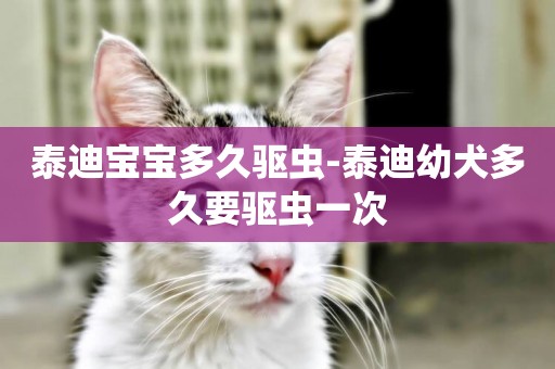 泰迪寶寶多久驅蟲-泰迪幼犬多久要驅蟲一次