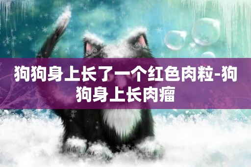 狗狗身上長了一個紅色肉粒-狗狗身上長肉瘤