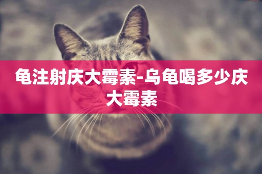 龜注射慶大霉素-烏龜喝多少慶大霉素
