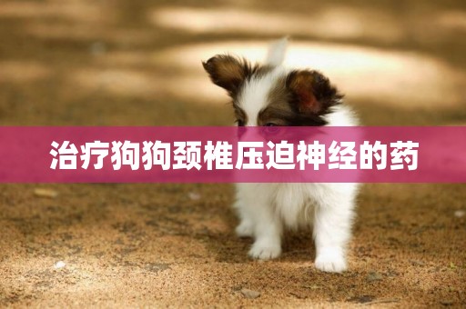 治療狗狗頸椎壓迫神經的藥