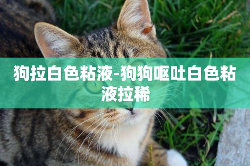 狗拉白色粘液-狗狗嘔吐白色粘液拉稀