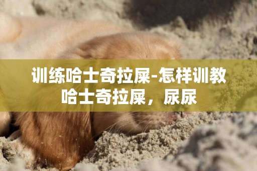 訓練哈士奇拉屎-怎樣訓教哈士奇拉屎，尿尿
