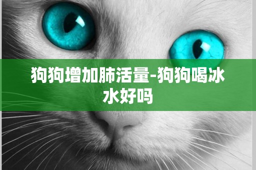 狗狗增加肺活量-狗狗喝冰水好嗎
