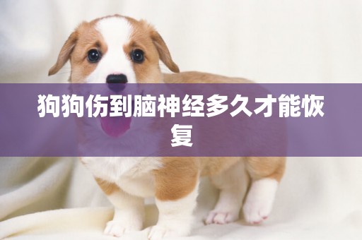 狗狗傷到腦神經多久才能恢復