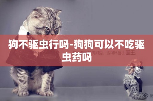 狗不驅蟲行嗎-狗狗可以不吃驅蟲藥嗎