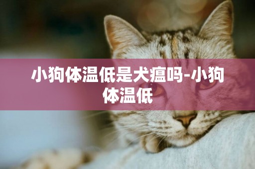 小狗體溫低是犬瘟嗎-小狗體溫低