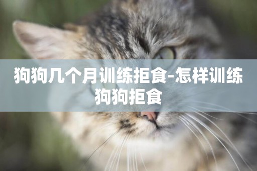 狗狗幾個月訓練拒食-怎樣訓練狗狗拒食