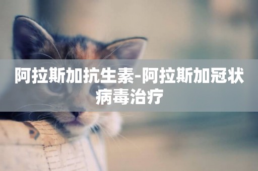 阿拉斯加抗生素-阿拉斯加冠狀病毒治療